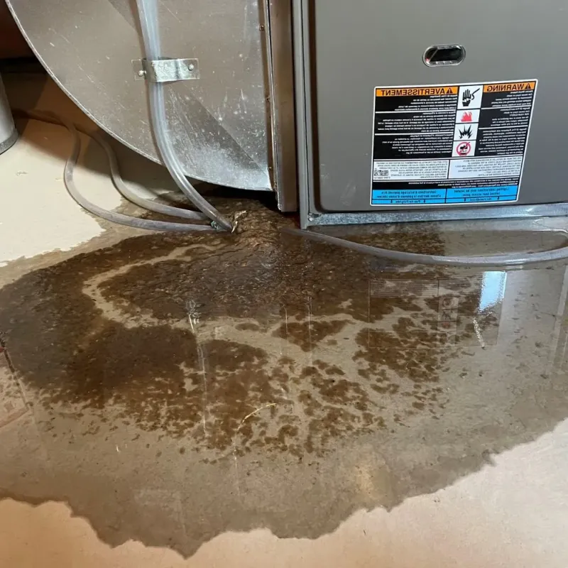 Pipe Burst and Leak Restoration in Uncasville, CT