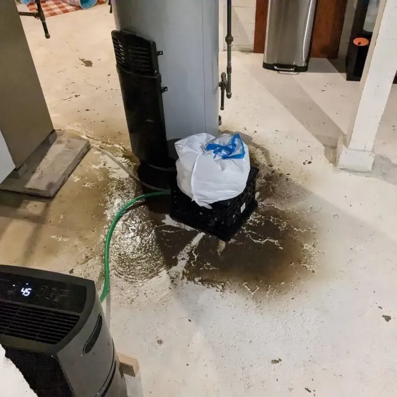Sewage Backup Cleanup Service in Uncasville, CT